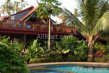 Coconut Paradise 27
